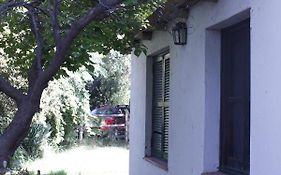 Cabaña en Olivar Centenario Agroecológico Tutuna